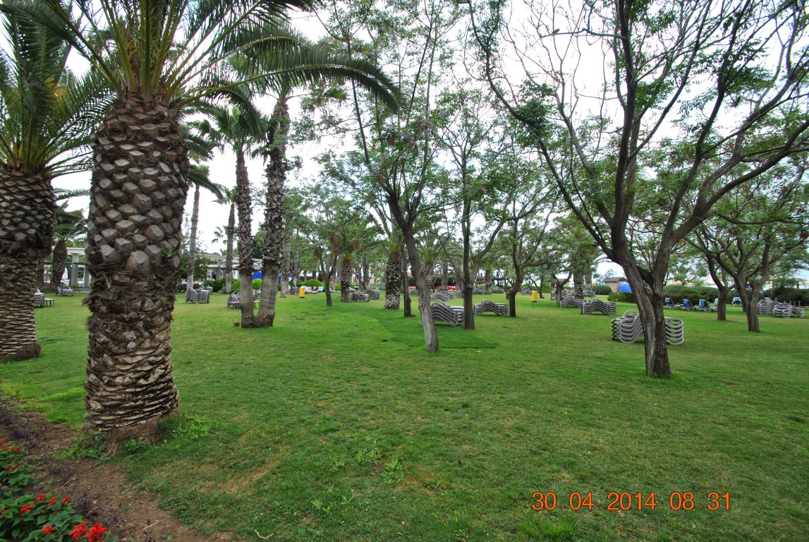 imagini hotel CLUB ASTERIA BELEK